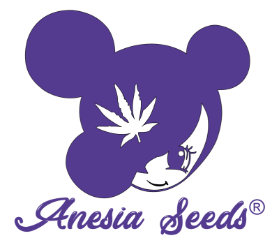 картинка Bruce Banner #3 от магазина Semki