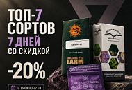−20% НА ТОП-7 ГЕНЕТИК — ТОЛЬКО 7 ДНЕЙ!, Новая −20% НА ТОП-7 ГЕНЕТИК — ТОЛЬКО 7 ДНЕЙ!, прочитать −20% НА ТОП-7 ГЕНЕТИК — ТОЛЬКО 7 ДНЕЙ!, −20% НА ТОП-7 ГЕНЕТИК — ТОЛЬКО 7 ДНЕЙ! от магазина Semki −20% НА ТОП-7 ГЕНЕТИК — ТОЛЬКО 7 ДНЕЙ! от магазина Semki