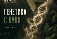 ГЕНЕТИКА С НУЛЯ. ВЫПУСК №1, Новая ГЕНЕТИКА С НУЛЯ. ВЫПУСК №1, прочитать ГЕНЕТИКА С НУЛЯ. ВЫПУСК №1, ГЕНЕТИКА С НУЛЯ. ВЫПУСК №1 от магазина Semki ГЕНЕТИКА С НУЛЯ. ВЫПУСК №1 от магазина Semki
